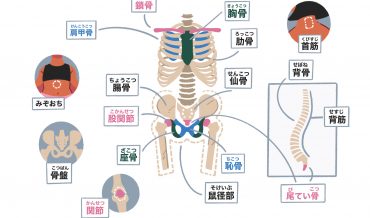 Các bộ phận cơ thể dùng trong các bài Yoga ở Nhật (nâng cao)